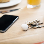 The Stone // A Universal Remote For Your Phone // Glacier