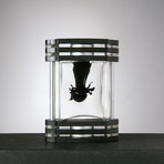 Quantum // Opal Blue