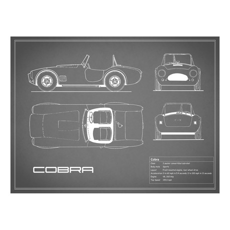 Cobra // Grey (Print // 18"W x 24"H x .01"D)