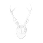 Deer Antlers Wall Mount // White