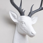 14 Point Deer Head Wall Mount (White + Gold)