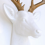 14 Point Deer Heads Wall Mount // White + Bronze