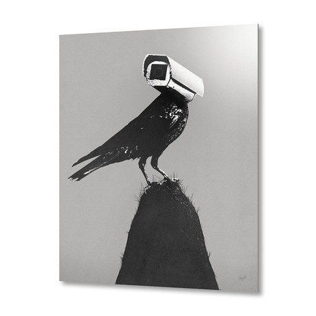 The Lookout // Aluminum Print (20"W x 16"H x 0.2"D)