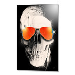 Summer Skull // Aluminum Print (24"W x 16"H x 0.2"D)