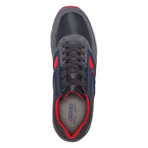 Regent // Anthracite + High Risk Red + Navy Blue (US: 7)