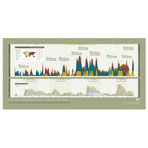 Visual History of Financial Crises