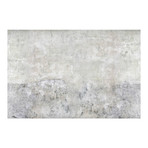 Shabby Plain Concrete Wall