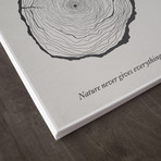 Samuel Johnson // The Wait