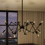 Rana // Multi-Arm Chandelier