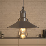 Delphinus // Hood Pendant (Satin Nickel)