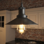 Delphinus // Hood Pendant (Satin Nickel)