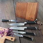 Y2 Series 6-Piece Knife Block Set