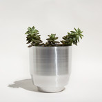 Spun Planter 8" (Aluminum)