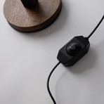 Transparent 3D Desk Lamp // IN000908