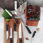 V2 Series 22-Piece Knife Block Set