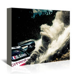 S Loeb (20"W x 16"H x 1.5"D)