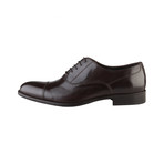 Camillo Oxford // Dark Brown (Euro: 40)