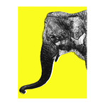 Nelly The Elephant // Yellow // Right (24"W x 30"H x 1.5"D)