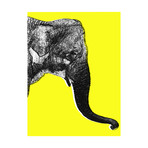 Nelly The Elephant // Yellow // Left (24"W x 30"H x 1.5"D)