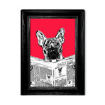 Frenchie The Bulldog (24"W x 30"H x 1.5"D)