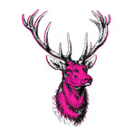 Duchess The Stag (24"W x 30"H x 1.5"D)