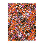 Cheetah // Orange + Pink (30"W x 24"H x 1.5"D)