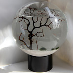 Living Shrimp Orb // Large (Concrete Base)