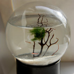 E86bd9e0d463d11b2f18acb9dde8adf8 small