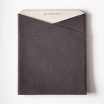 iPad Sleeve // Gray (iPad 2)