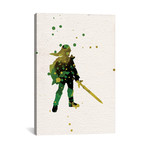 Link // The Legend Of Zelda: Twilight Princess (18"W x 26"H x 0.75"D)