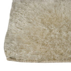 Sunshine // White (5'L x 8'H)