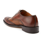Principi Milano // Two Tone Oxford // Brown + Chestnut (Euro: 41)