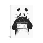 Bad Panda // Balazs Solti (26"H x 18"W x 0.75"D)
