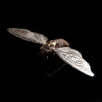 Cicada Sculpture // Open Wing