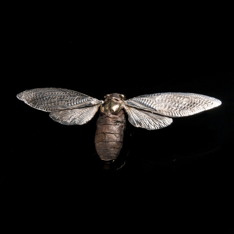 Cicada Sculpture // Open Wing