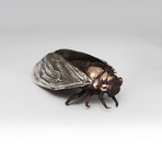 Cicada Sculpture // Closed Wing