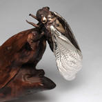 Cicada Sculpture // Closed Wing