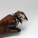 Cicada Sculpture // Closed Wing