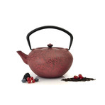 Studio Cast Iron Teapot Set // Red