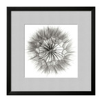 Jim Christensen // Goat's Beard 4 // Classic Silver Matte