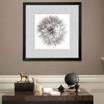 Jim Christensen // Goat's Beard 4 // Classic Silver Matte