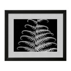 Jim Christensen // Fern III