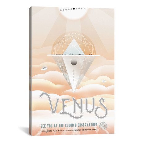 Venus // Visions Of The Future Series (18"W x 26"H x 0.75"D)