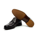 Perforated Wingtip Derby // Brown (Euro: 40)