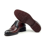 Punched Toe Lace Up Derby // Oxblood (Euro: 44)