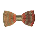 Ombre Stripe Bow Tie // Chestnut