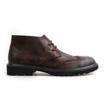 Herilios // Low Wingtip Boot // Brown (Euro: 38)