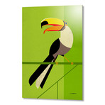 Tucan (16"W x 24"H x 1.5"D // Stretched Canvas)