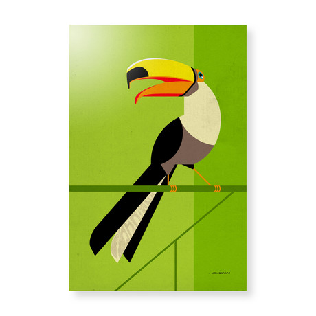 Tucan (16"W x 24"H x 1.5"D // Stretched Canvas)