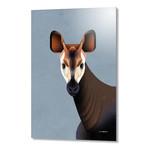 Okapi (16"W x 24"H x 1.5"D // Stretched Canvas)